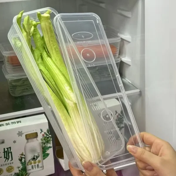 Fresh Box Refrigerator Storage Boxes Scallions Food Container with Lid Cold Crisper Sealed Kitchen Fresh Fruit Fridge Organizer 5