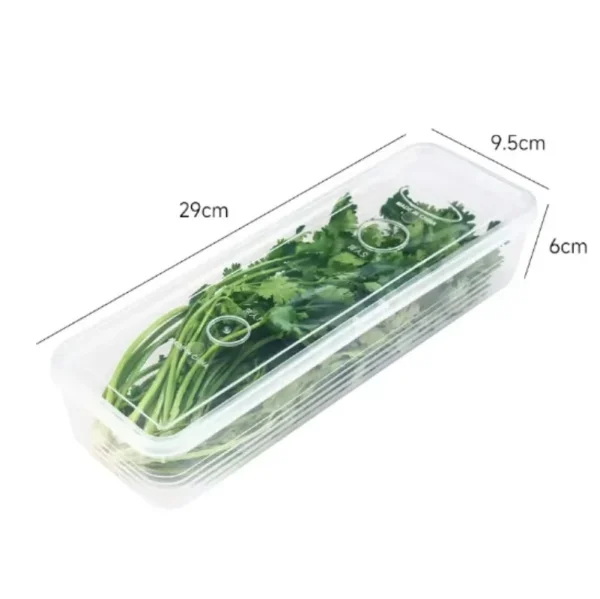 Fresh Box Refrigerator Storage Boxes Scallions Food Container with Lid Cold Crisper Sealed Kitchen Fresh Fruit Fridge Organizer 6