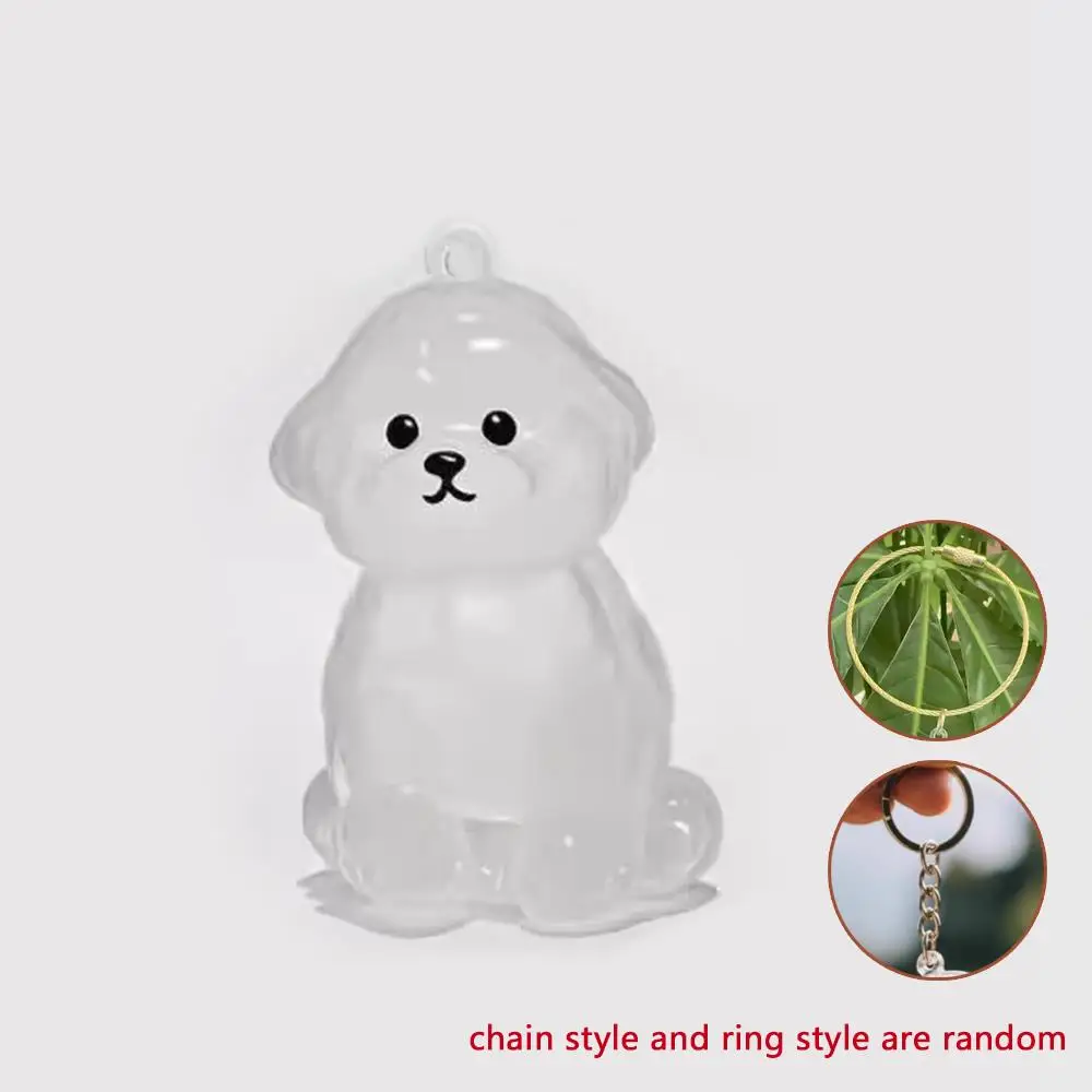 Bichon