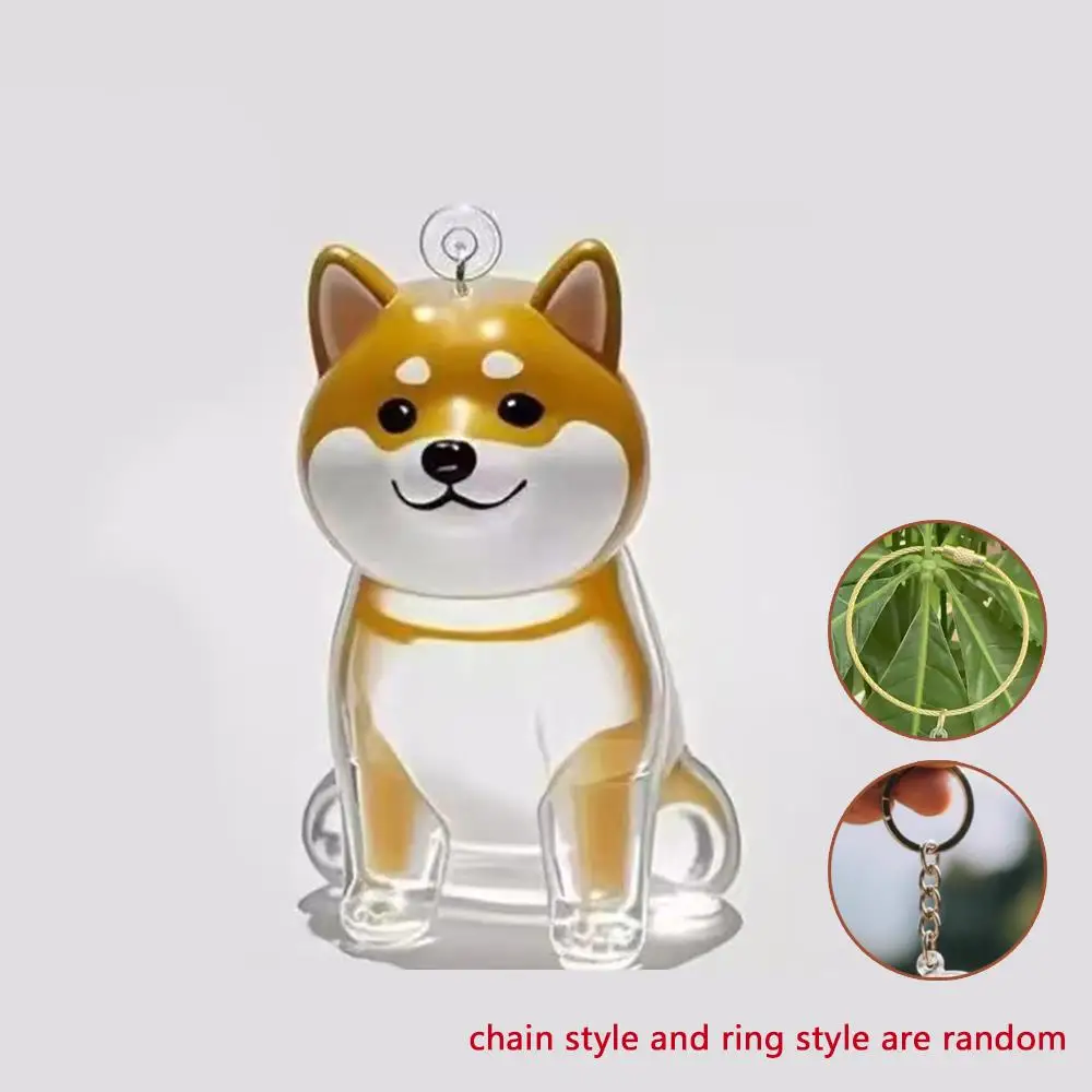 Shiba Inu