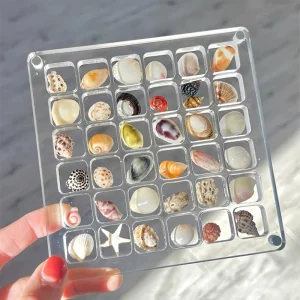 Acrylic Magnetic Seashell Display Box, Small Seashell Display Case, Magnetic Acrylic Shell Storage Box, Small Craft Organizers C 1