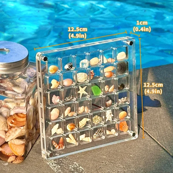 Acrylic Magnetic Seashell Display Box, Small Seashell Display Case, Magnetic Acrylic Shell Storage Box, Small Craft Organizers C 2