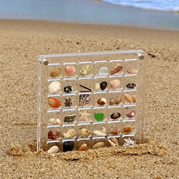 Acrylic Magnetic Seashell Display Box, Small Seashell Display Case, Magnetic Acrylic Shell Storage Box, Small Craft Organizers C 3