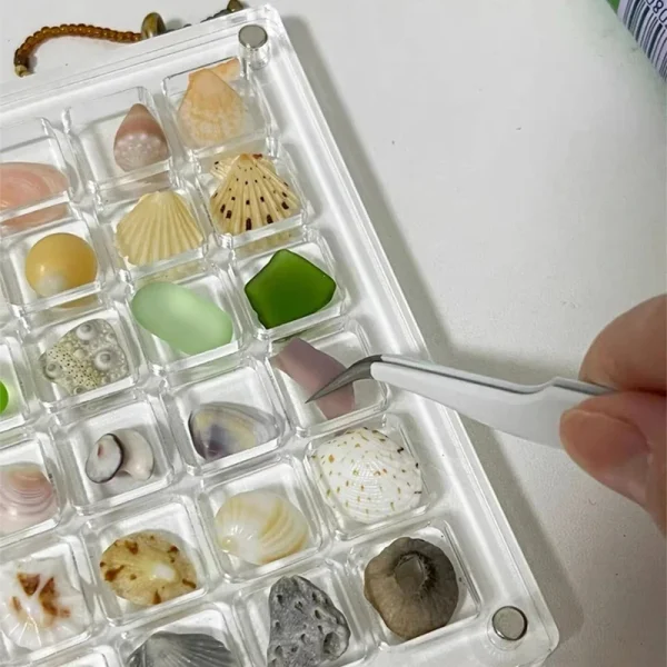 Acrylic Magnetic Seashell Display Box, Small Seashell Display Case, Magnetic Acrylic Shell Storage Box, Small Craft Organizers C 4