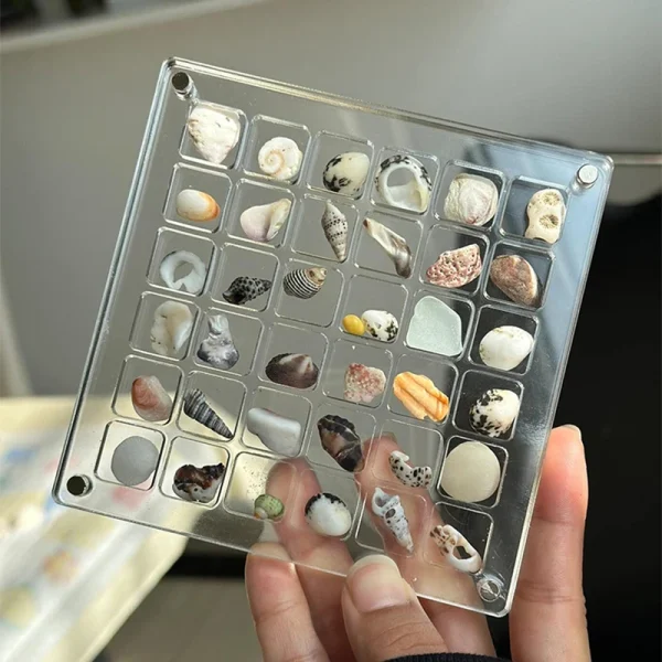 Acrylic Magnetic Seashell Display Box, Small Seashell Display Case, Magnetic Acrylic Shell Storage Box, Small Craft Organizers C 5