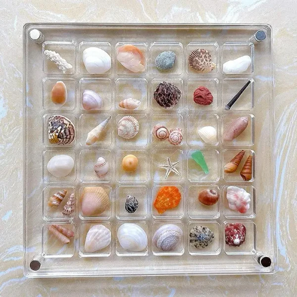 36-Grids Acrylic Seashell Display Box Durable Starfishs Trinket Storage Case For Bead Nail Jewelry Chic Gife NEW 3