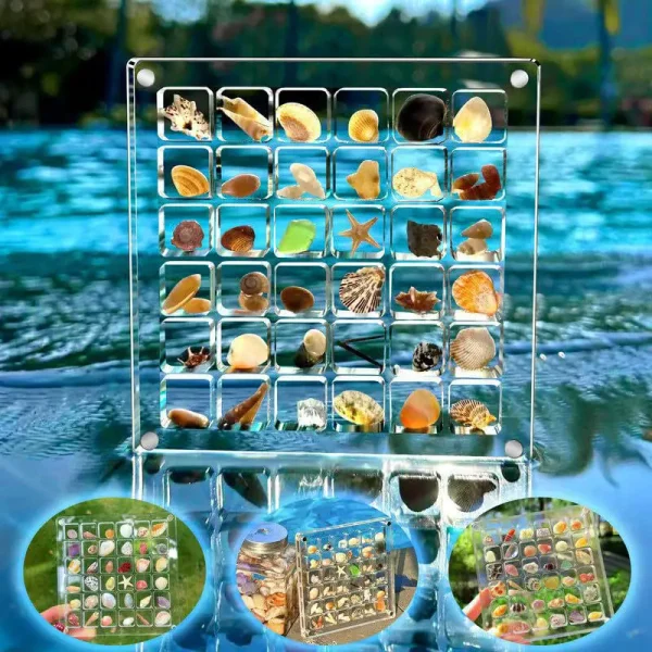 36-Grids Acrylic Seashell Display Box Durable Starfishs Trinket Storage Case For Bead Nail Jewelry Chic Gife NEW 5