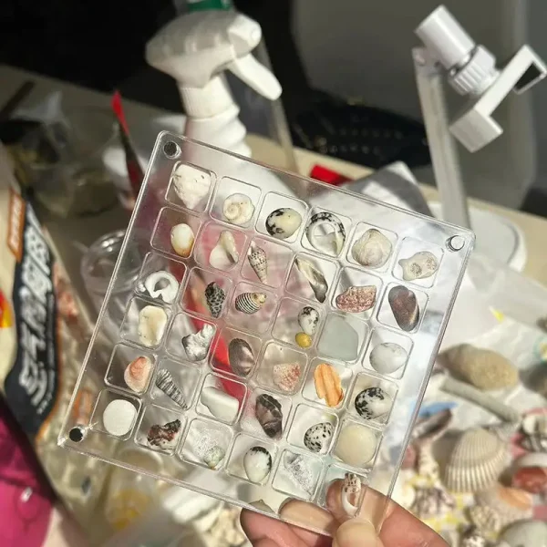 36-Grids Acrylic Seashell Display Box Durable Starfishs Trinket Storage Case For Bead Nail Jewelry Chic Gife NEW 6