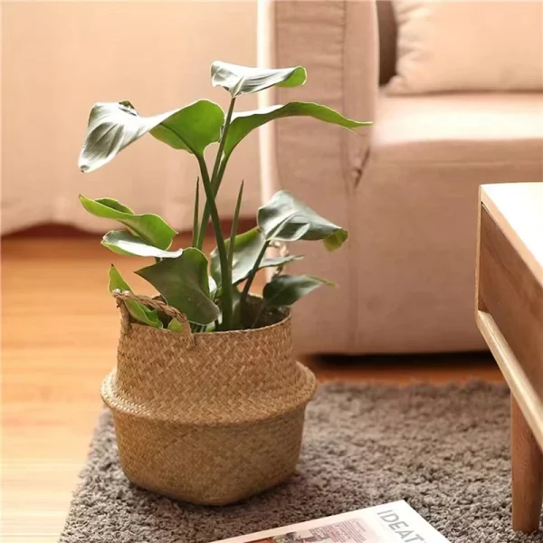 Folding Wicker Basket Toy Organizer, Seagrass Storage Basket, Laundry Woven Basket, Plant Flower Pot For Home Garden 2