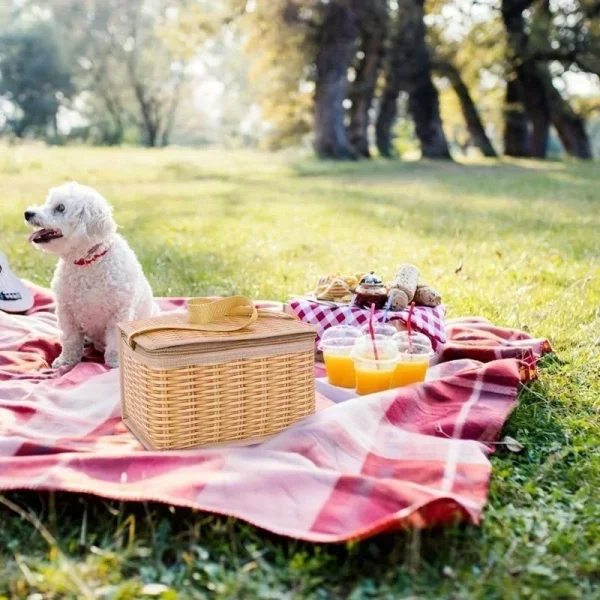 New Portable Food Container Basket Insulation Bag Lunch Box Picnic Bag for Outdoor Camping Home Storage 2