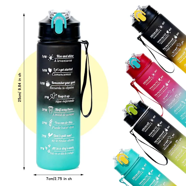 Leak Proof Water Bottle with straw Two-color spray paint High Quality tour hiking portable drink bottles 800ml 2