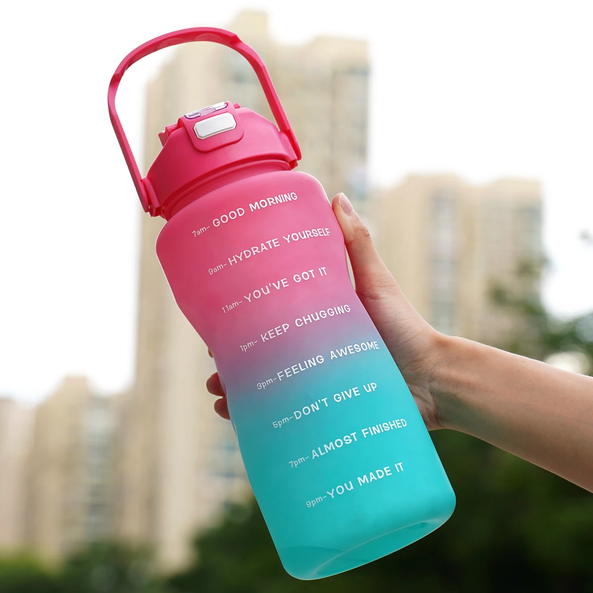 2 L