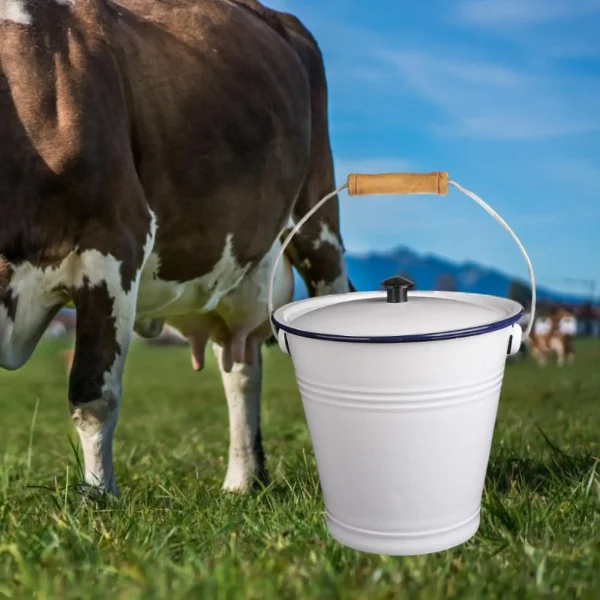 9L Enamel Milk Bucket Ice Bucket with Lid and Handle Rice Container Liquid Container Storage Can for Farm Garden Yard 2