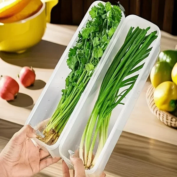 Refrigerator fresh-keeping storage box, fresh-keeping artifact,Small Food Preservation Boxes,Transparent Sealed Storage Box 3