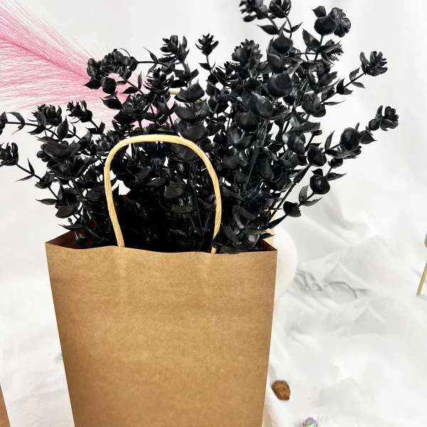 10pcs- Handbag Kraft Paper Packing Bag Takeaway Kraft Paper Bag 2