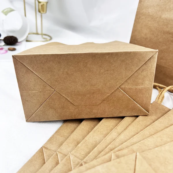 10pcs- Handbag Kraft Paper Packing Bag Takeaway Kraft Paper Bag 3