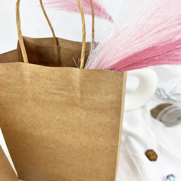 10pcs- Handbag Kraft Paper Packing Bag Takeaway Kraft Paper Bag 4