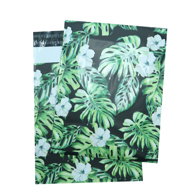 Black Monstera