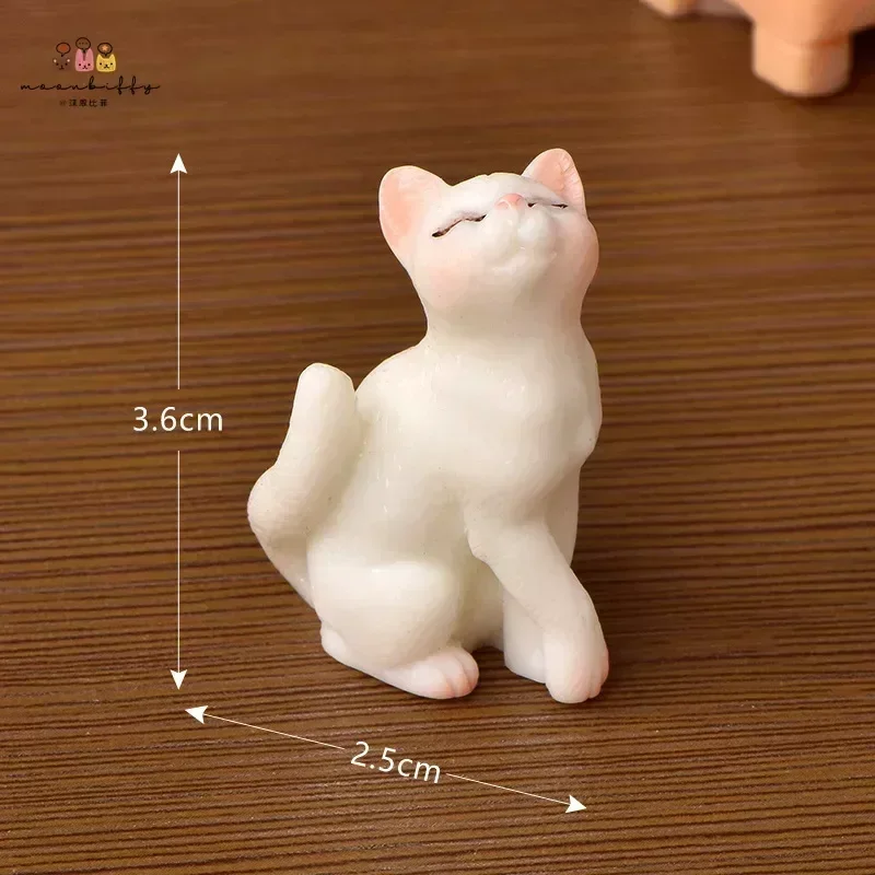 Kiss the cat-1