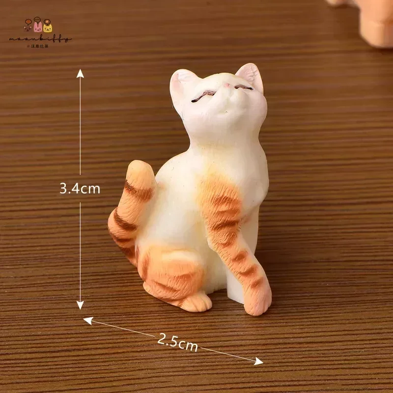 Kiss the cat-2
