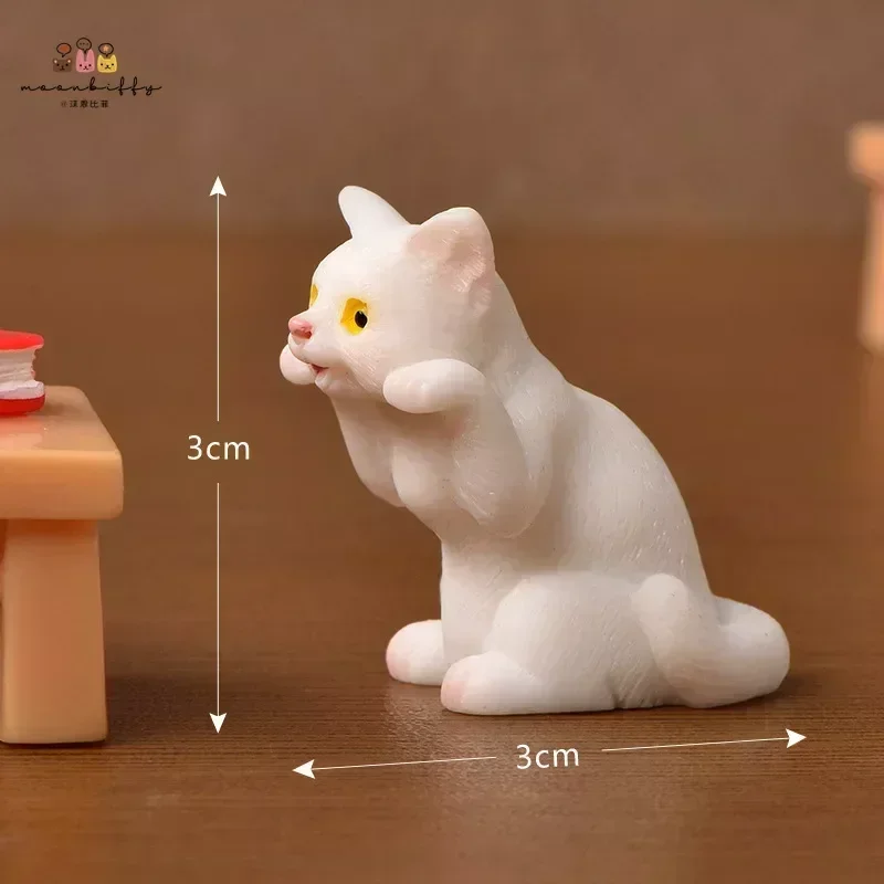 Lying Table cat-1