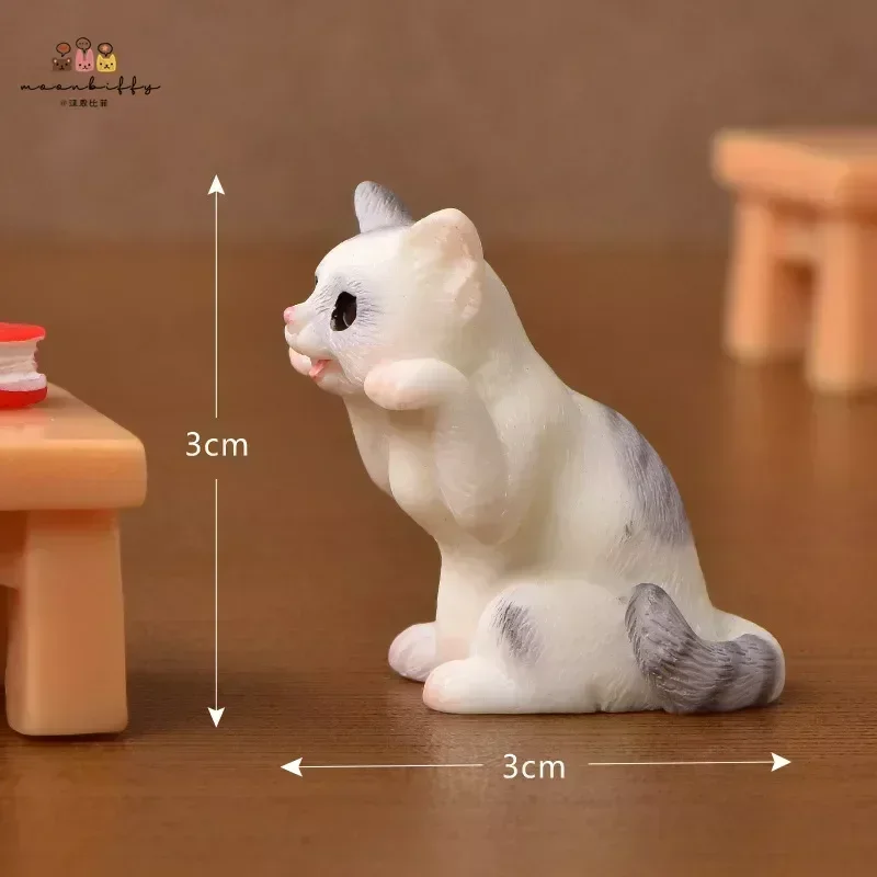 Lying Table cat-2