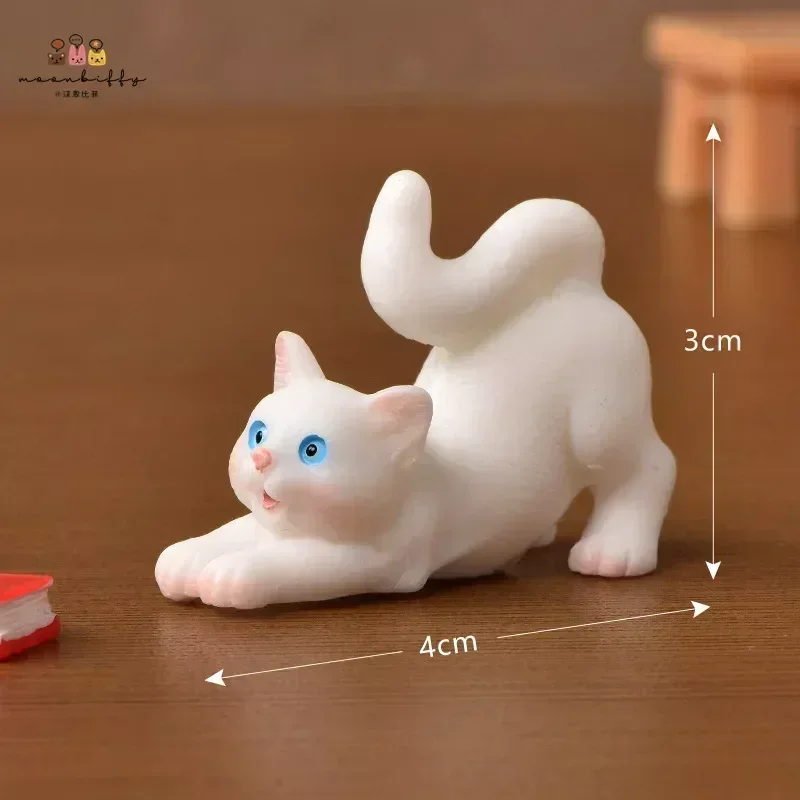 Stretching Cat-2