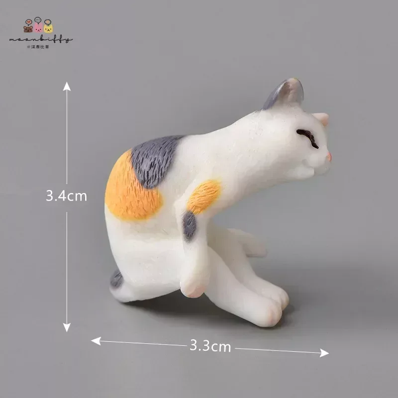 Lazy Cat-1