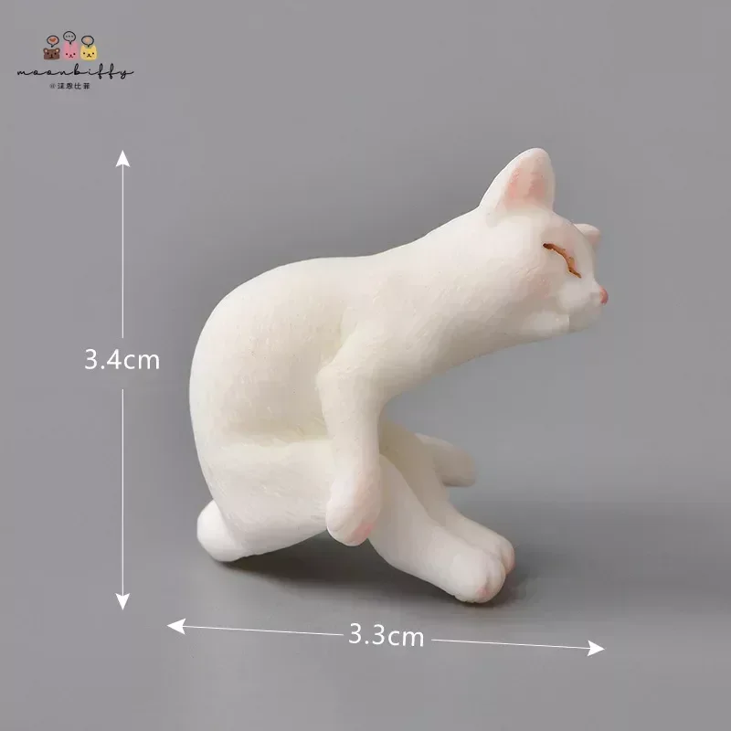 Lazy Cat-2