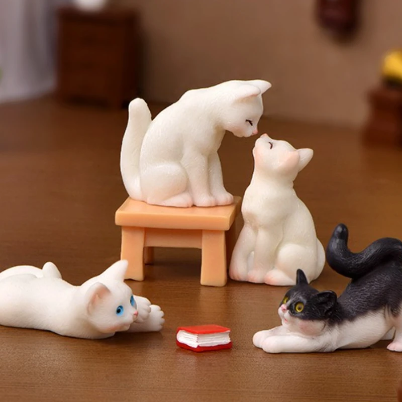 a set