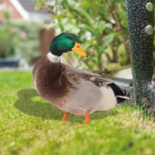 Garden Duck Statue 2D Acrylic Wild Duck Sculpture For Yard Decor Double-Sided Printing Weatherproof Duck Figurine For Farm 3