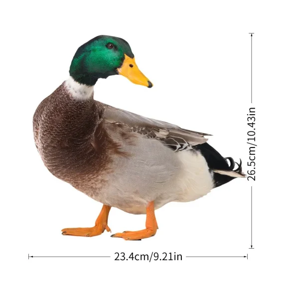 Garden Duck Statue 2D Acrylic Wild Duck Sculpture For Yard Decor Double-Sided Printing Weatherproof Duck Figurine For Farm 6
