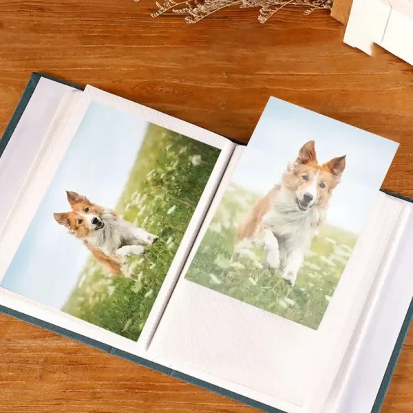 New Home 6 Inch Family 100Photos 10x15 Cm Image Art Photo Albums Interstitial Album Classic Retro Photo Album Collection 6