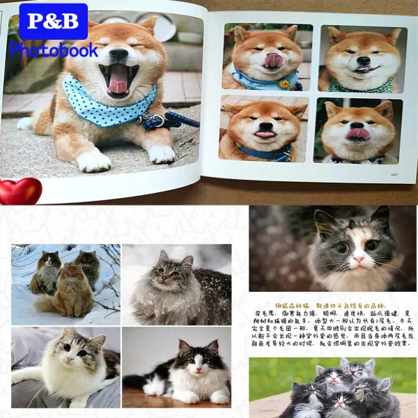 6 inch Photobook for Personalized photos DIY Photo Album for Wedding Theme-Album Baby pets grow up memory book Lovely gift 3