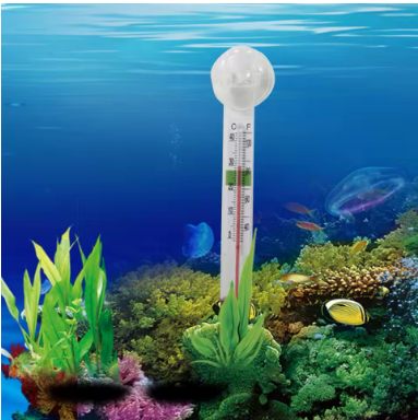 Aquarium Accessories & Equipment