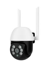 Video Surveillance