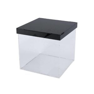 Acrylic Clear Box with Black Lid - 25 x 25 x 25 cm (1 pcs)