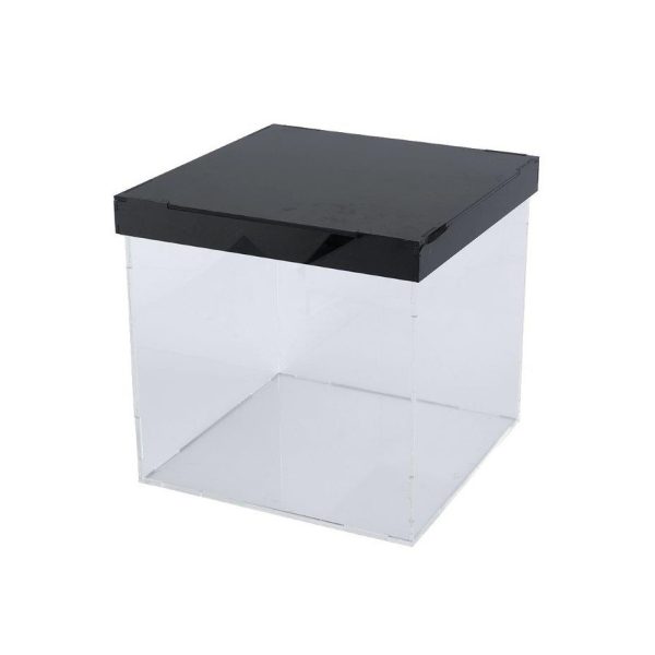 Acrylic Clear Box with Black Lid - 25 x 25 x 25 cm (1 pcs)