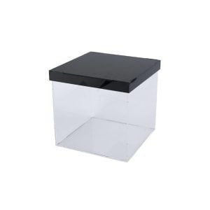Acrylic Clear Box with Black Lid - 15 x 15 x 15 cm (1 pcs)