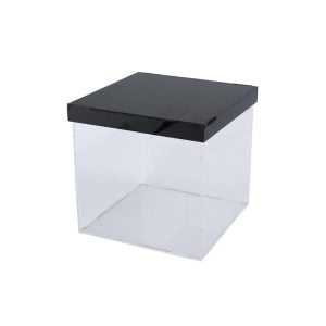 Acrylic Clear Box with Black Lid - 20 x 20 x 20 cm (1 pcs)