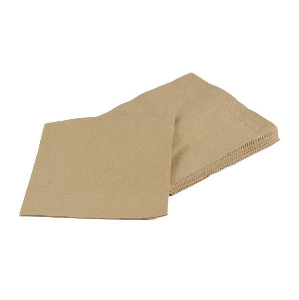 TT Tissue Napkin 2 ply Kraft - 33x33 cm (50 pcs)