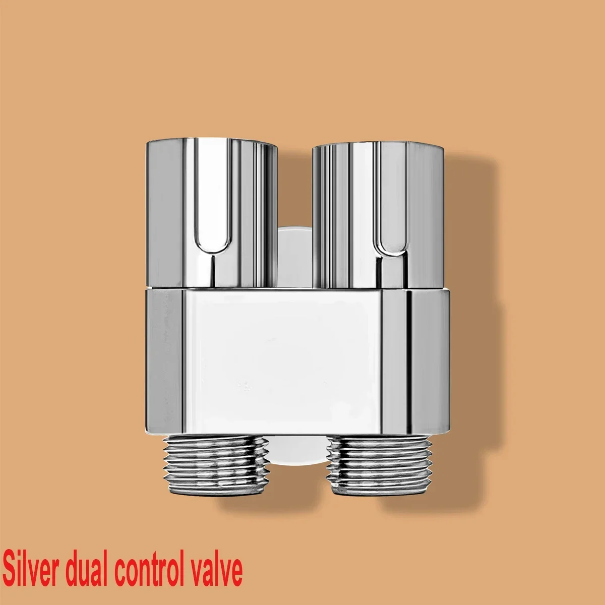 Silver-dual control